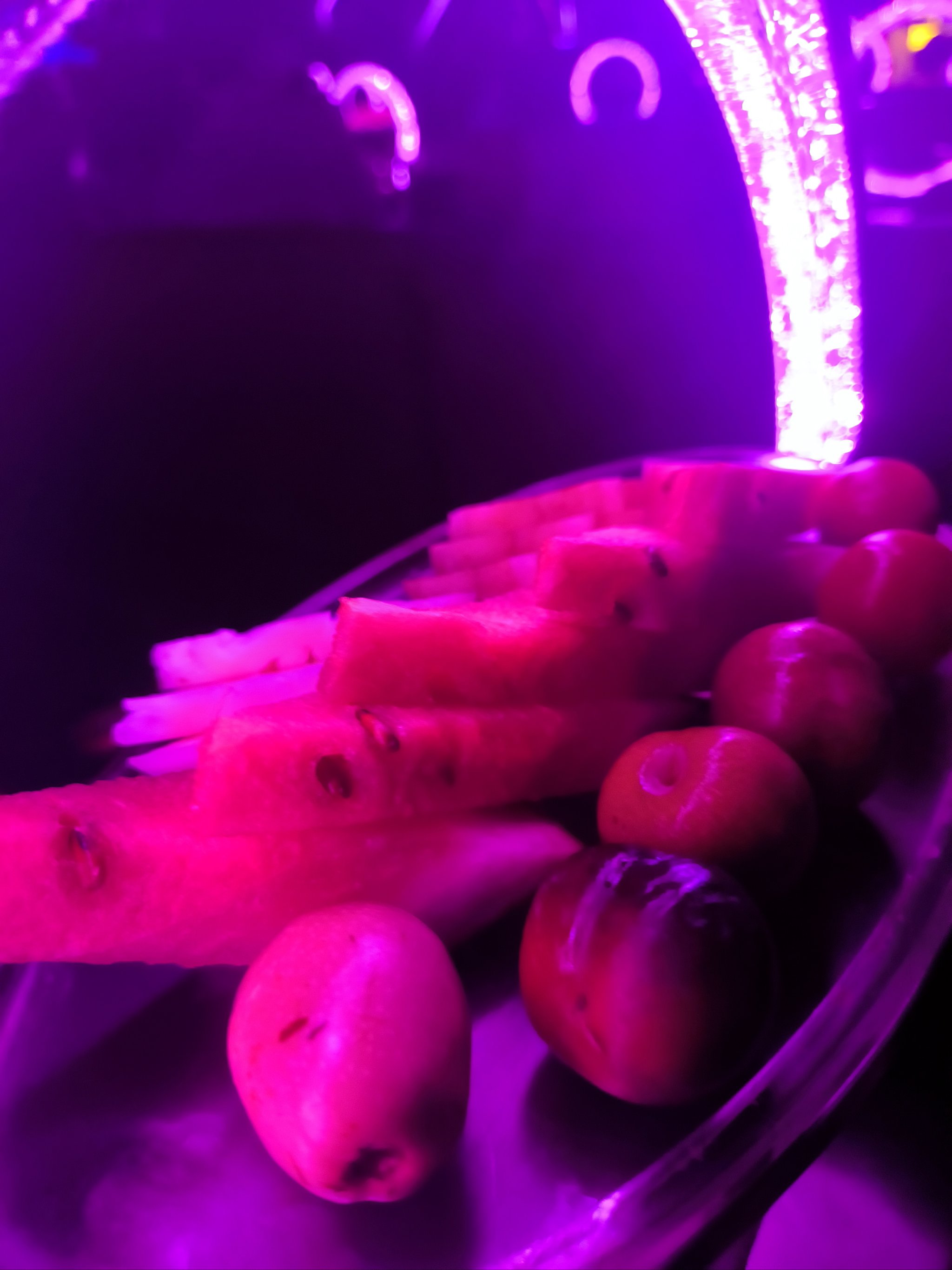 湛江商务KTV哪里有-霞山区ktv预定